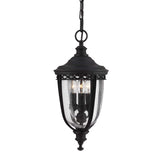 Charming Black English Bridle Hanging Porch Lantern with Seeded Glass