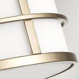Fusion 3lt Flush Painted Natural Brass