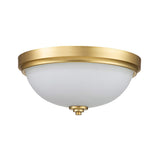 Elegant Opal Glow Ceiling Fixture