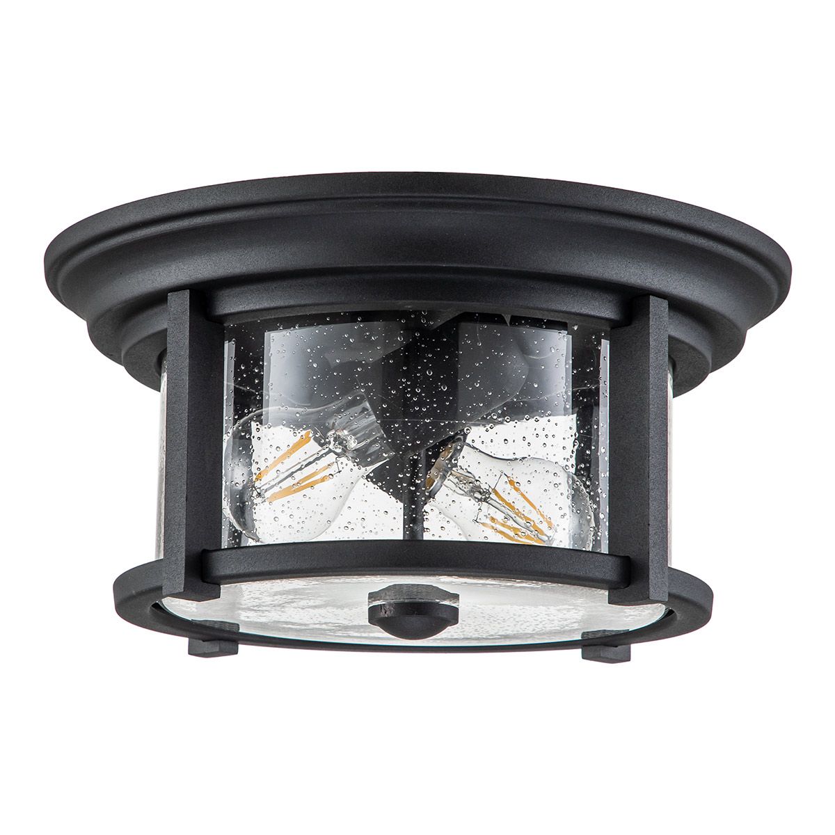 Merrill 2 Light Flush Black