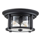 Merrill 2 Light Flush Black