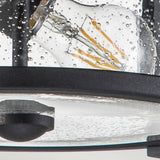 Merrill 2 Light Flush Black