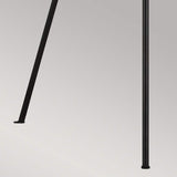 Penny Elegant Tripod Floor Lamp - Aged Iron Finish