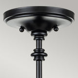 Pickering Lane 3lt Semi-Flush - Black Black