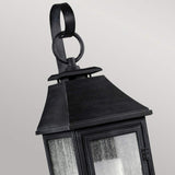 Shepherd Petite Outdoor Wall Lantern in Dark Weathered Zinc Finish