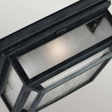 Shepherd 2-Light Dark Zinc Outdoor Flush Mount Ceiling Fixture