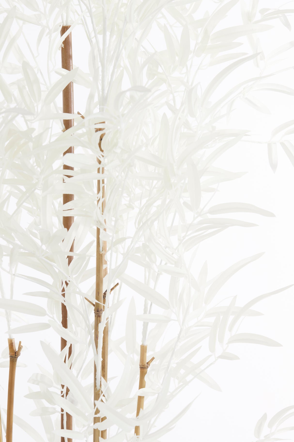 Bamboo Elegance: Natural and Cream Potted Ornament (70x60x180 cm)