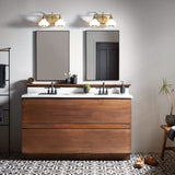 Ainsley Dual Light Fixture in Brushed Brass Finish