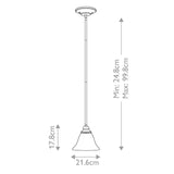 Elegance Antiqua 1-Light Pendant