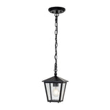 Huntersfield Single-Light Petite Hanging Lantern