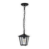 Huntersfield Single-Light Petite Hanging Lantern