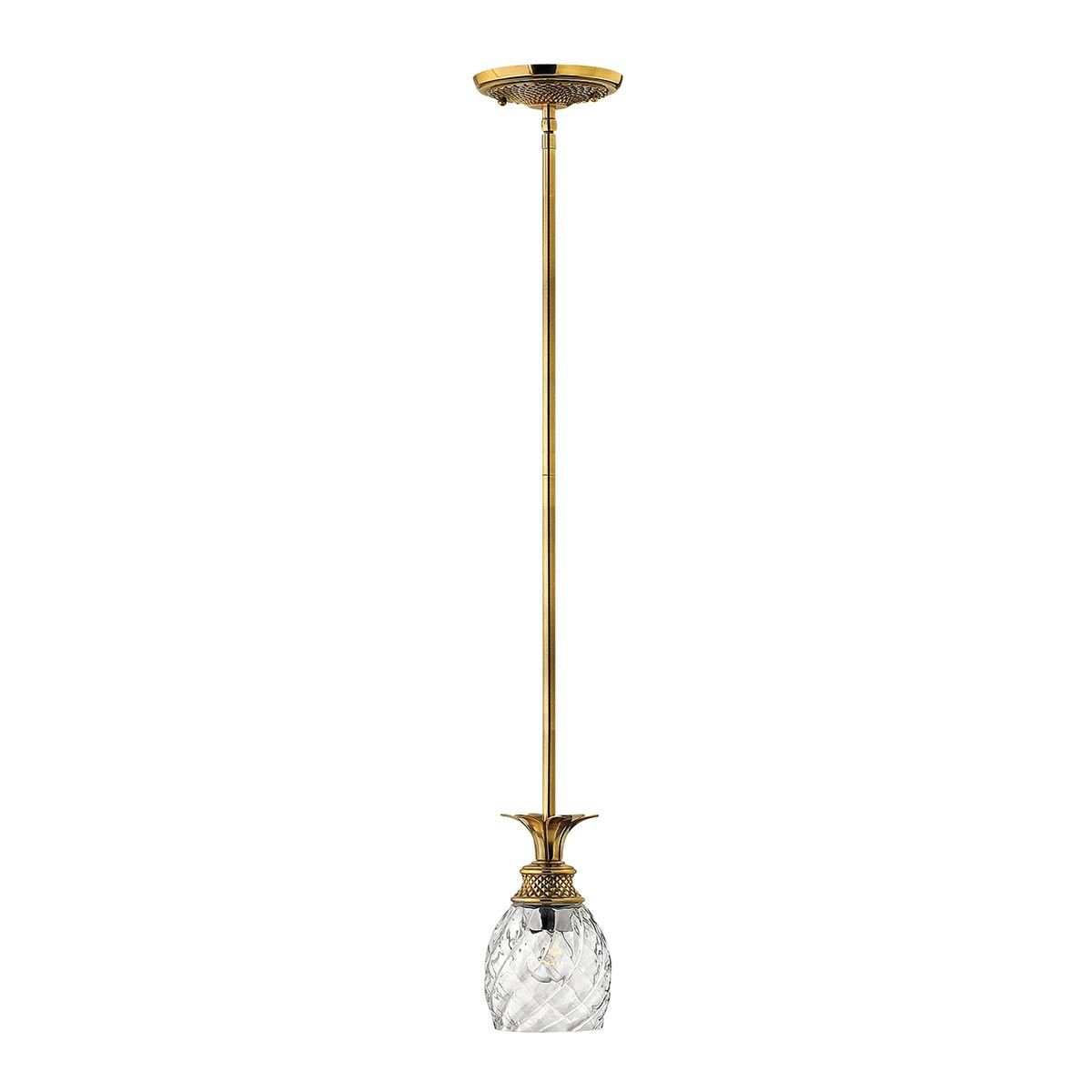 Gilded Tropics 1 Light Pendant