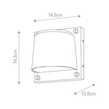 Scout 1lt Small Wall Light Black