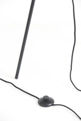 Tripod Floor Lamp with Smoked Glass Shade and Matte Black Finish, Ø42x146 cm Mayson