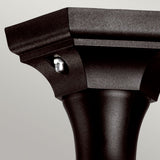 Black Kerry Pedestal/Porch Light - Modern Coastal Design