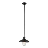 Allenbury Weather-Resistant Outdoor Pendant in Textured Black