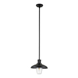 Allenbury Weather-Resistant Outdoor Pendant in Textured Black