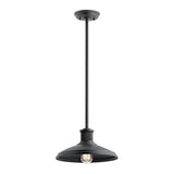 Allenbury Weather-Resistant Outdoor Pendant in Textured Black