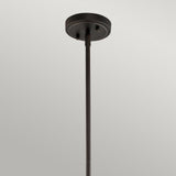 Everly Medium Pendant Light in Olde Bronze Finish