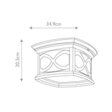 Elegant French Victorian Bronze Outdoor Ceiling Light