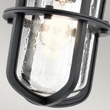 Nautical Black Exterior Wall Lantern - Suri Collection