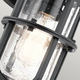 Suri Coastal Collection: Textured Black Outdoor Wall Lantern