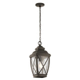 Tangier Classic Outdoor Lantern in Olde Bronze Finish