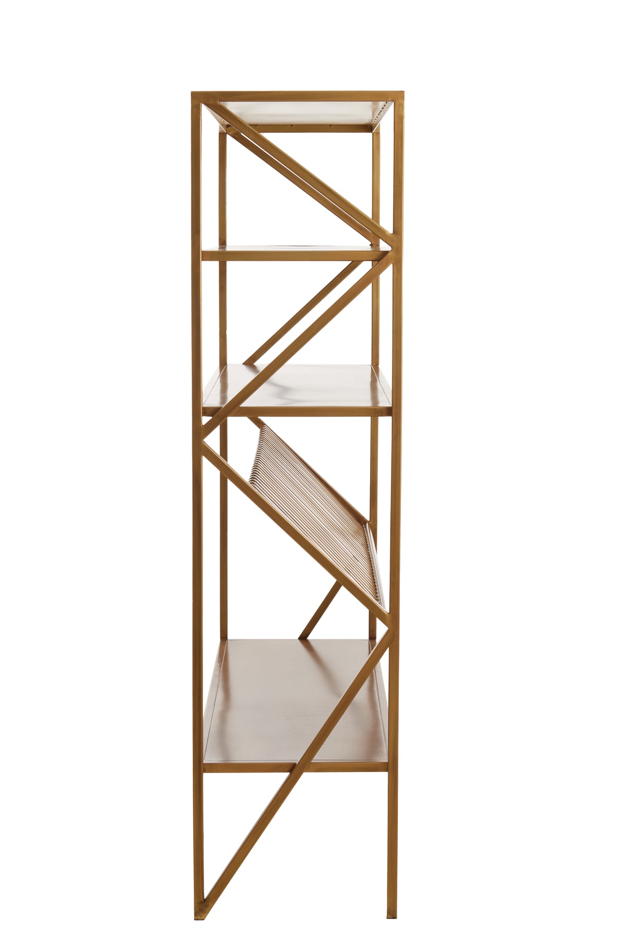 Antique Bronze Ezra Display Cabinet 120x40x160 cm