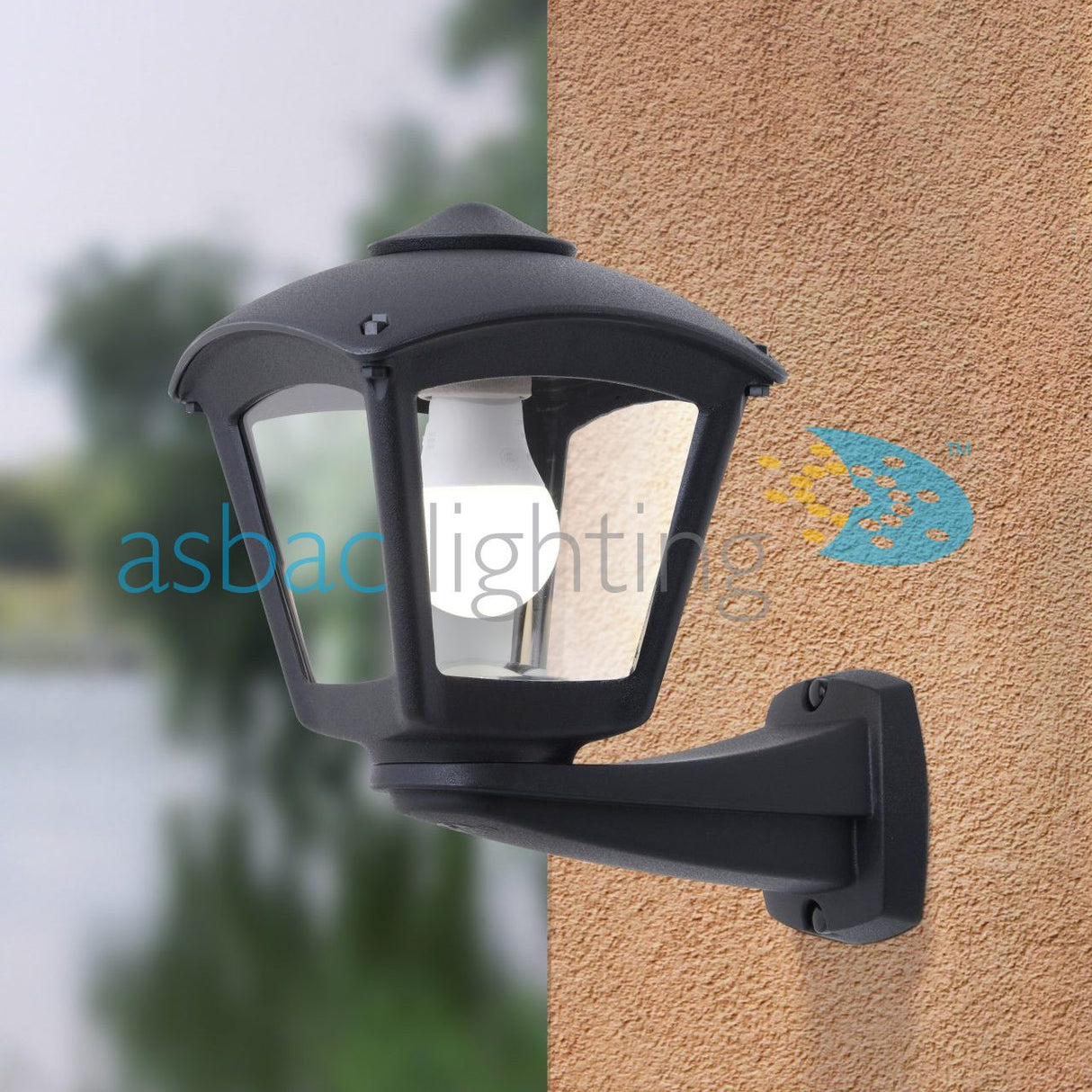Roby Nardo E27 (No Lamp), Modern Wall Lantern, Black/Clear