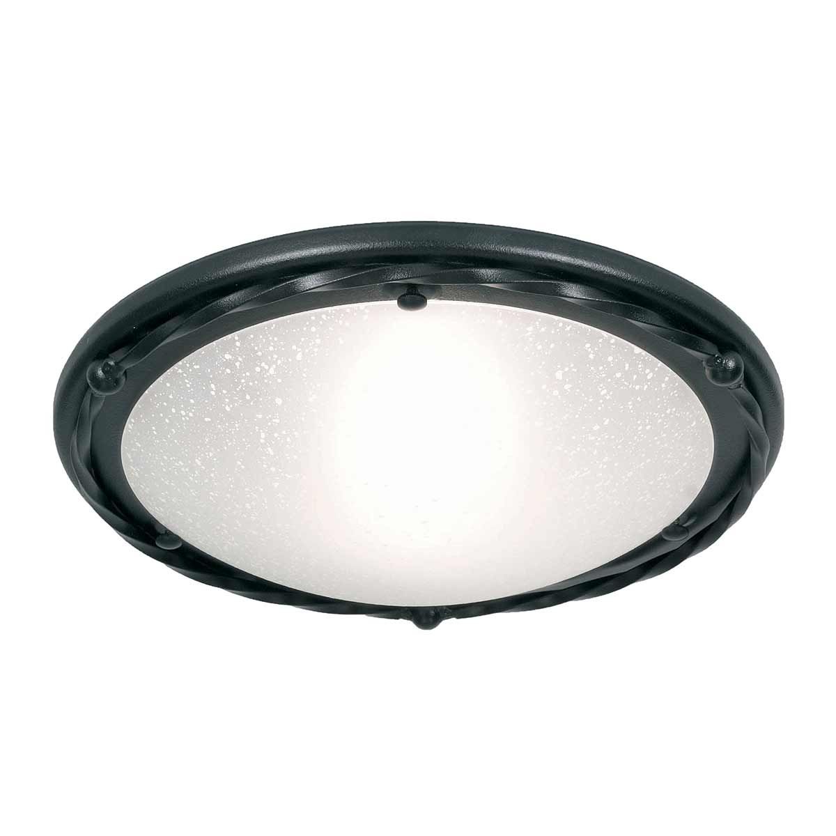Pembroke Glitter Black Iron Ceiling Light