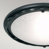 Pembroke Glitter Black Iron Ceiling Light