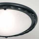 Pembroke Glitter Black Iron Ceiling Light