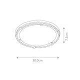 Pembroke Glitter Black Iron Ceiling Light