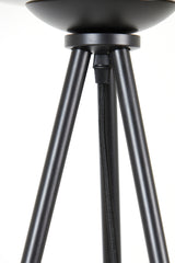 Tripod Floor Lamp with Smoked Glass Shade and Matte Black Finish, Ø42x146 cm Mayson