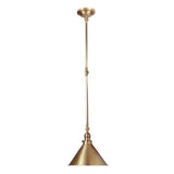 French Bistro-Inspired Aged Brass Wall/Pendant Light