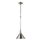 Provence Grande Adjustable Wall/Pendant Light in Polished Nickel