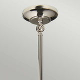 Provence Grande Adjustable Wall/Pendant Light in Polished Nickel