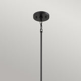 Bismarck Geometric Earth Black Mini Pendant Light