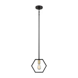 Bismarck Geometric Earth Black Mini Pendant Light
