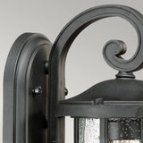 Crusade Exterior Wall Lantern - Earth Black Finish with Clear Seeded Glass
