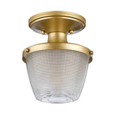 Dublin Interior Flush Mount Light in Painted Natural Brass Finish