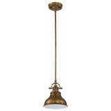 Vintage Artisan Palladian Bronze Pendant Light Fixture
