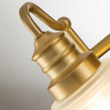 Elegant Brushed Brass Dual LED Wall Sconce