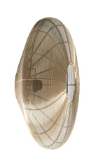 Elegant Light Gold Ceiling Fixture Ø51x18 cm
