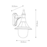 Elegant Shannon Black Outdoor Wall Lantern