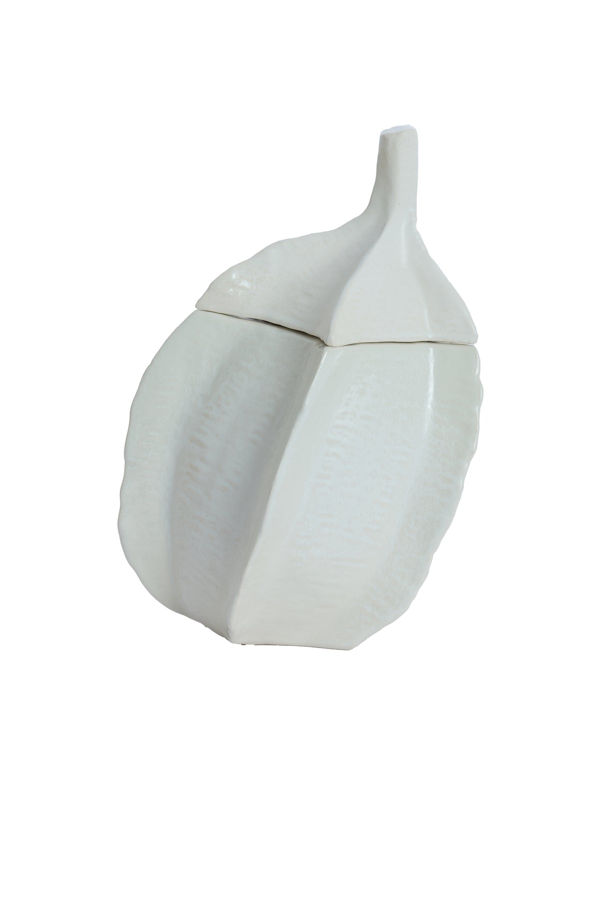 Elegance in Cream: Sabara Glossy Deco Box 21x20.5x31 cm