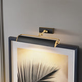 Winchfield 2lt Medium Picture Light Aged Brass & Matte Black