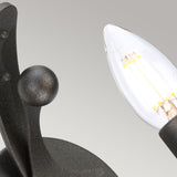 Regal Graphite Single Light Wall Sconce