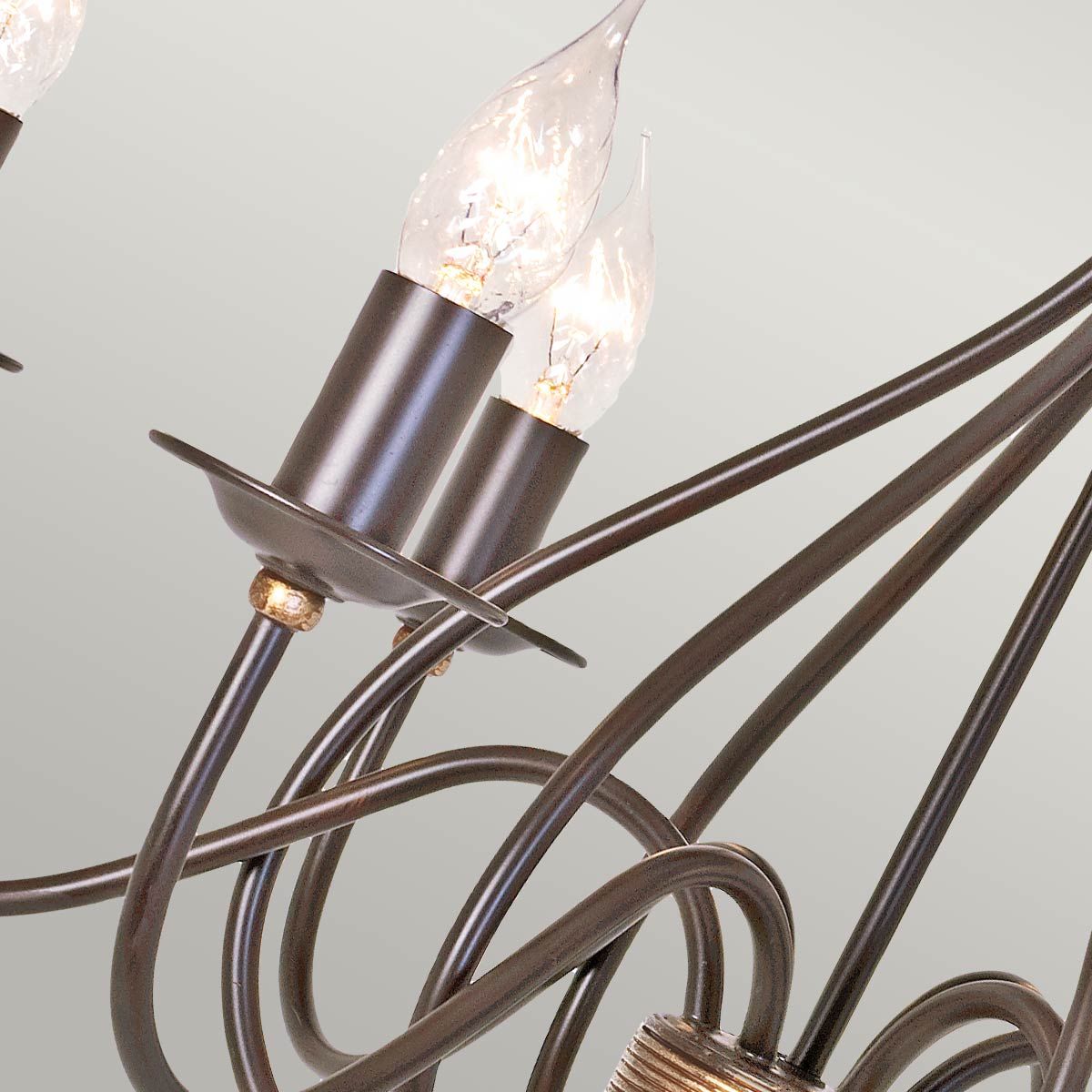 Windermere Rustic Elegance Iron Chandelier
