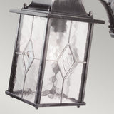 Elegant Wexford Down Wall Lantern in Black/Silver Finish